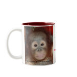 Wildlife Rainforest Charity mugs