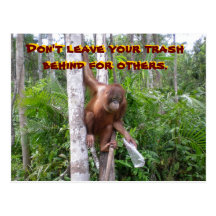 Wildlife Recycling Trash for Earth Day Postcard