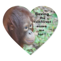 Wildlife: Save rainforest & animals Stickers