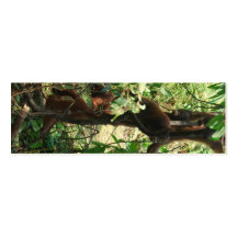 Wildlife Totem Pole Business Card Template