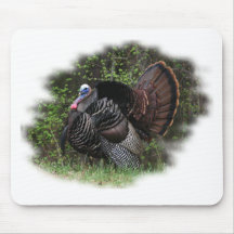WildTurkey on the prowl Mousepads