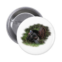 WildTurkey on the prowl Pins