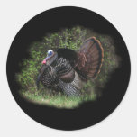 WildTurkey sur le vagabondage Autocollant