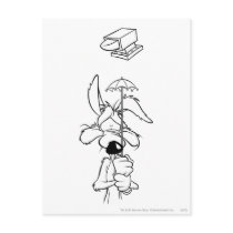 Wile E Coyote Acme Products Post Card