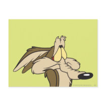Wile E. Coyote Impending Doom Postcards