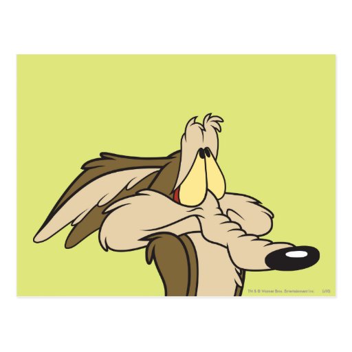 Wile E. Coyote Impending Doom Postcards