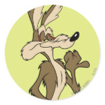 Wile E. Coyote Looking fier autocollants