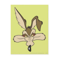 Wile E. Coyote Pleased Head Shot Post Cards