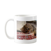 Will work for a catnip mug