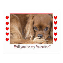 Will you be my Valentine's Day Spaniel Postcard