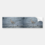 Willet Bumper Sticker