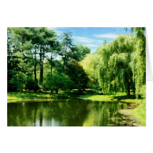 Willow By the Lake Cards