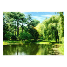 Willow By the Lake Custom Announcement