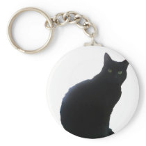 Willow copy keychains