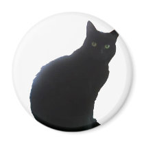 Willow copy magnets
