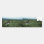 Willow ptarmigan bumper stickers
