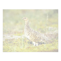 Willow ptarmigan personalized announcements