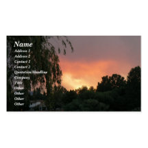 Willow Sunset Business Cards