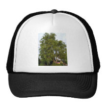 Willow Tree Hat