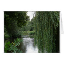 willow view greeting cards