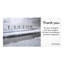Willows in winter photo cards