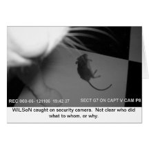 WiLSoN CSI ZAZZ Card