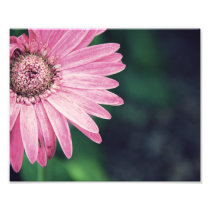 Wilting Slowly Photographic Print