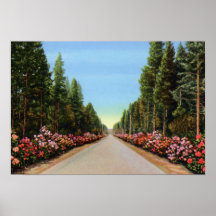 Winchester Oregon Pacific Highway Print