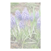 Wind Blown Grape Hyacinths Customized Stationery