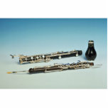 Wind instrument photo sculptures
