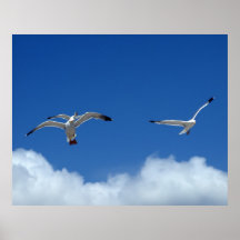 Wind Masters Print