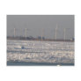wind mills of Buffalo, NY Postcards
