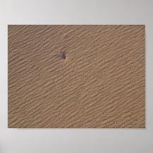 Wind Ripples in Sand V - Standard Posters