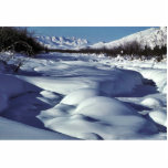 Wind River in Winter photo sculptures