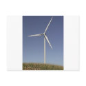 Wind Turbine postcards