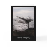 Windblown Tree  Deepest Sympathy Card