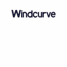 Windcurve Blue Embroidered Hoodie