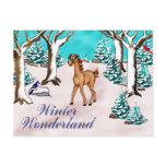 Winder Wonderland