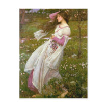 Windflowers