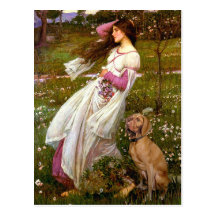 Windflowers - Vizsla 2 Postcard