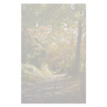 Winding Country Path Stationery Design