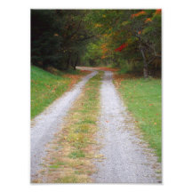 Winding Country Road in Autumn Art Photo