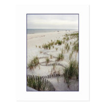 'Winding Fence with Grass Dunes' Postcard