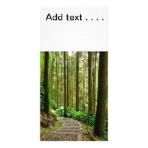 Winding Footpath in a Quiet Forest Photo Card