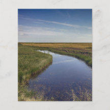 Winding River By The Coast Flyer