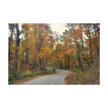 Winding Road Stretched Canvas Print