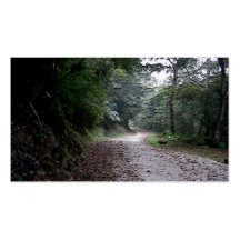 Winding Through Life/Inspirational Landscape Business Card