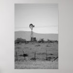 Windmill Black And White Poster