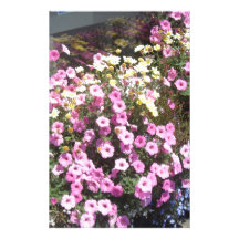 Window Boxes Stationery Design