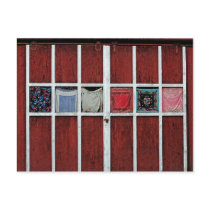 Window Coverings Postcard